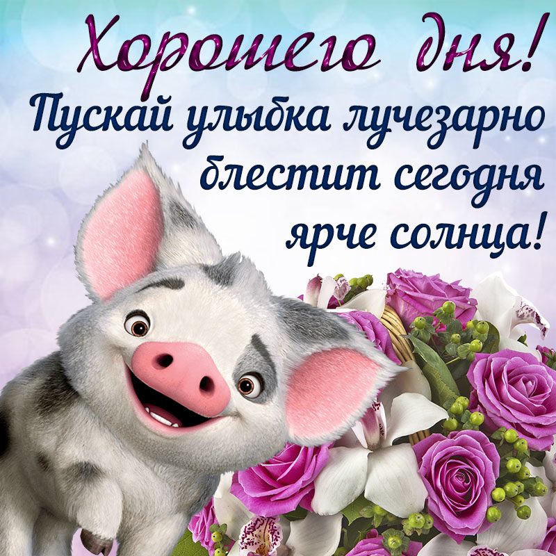 Пожелания с добрым днем в картинках прикольные