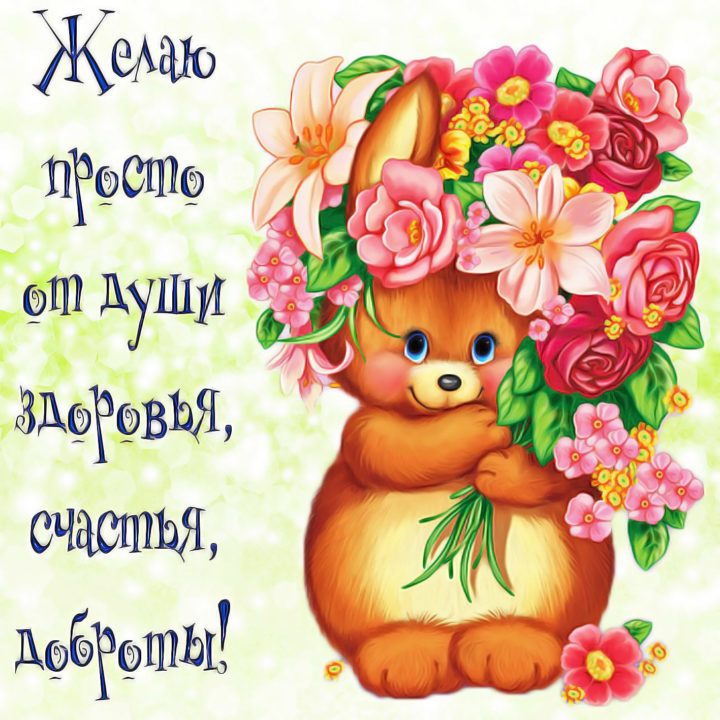 Прикольные картинки с пожеланиями