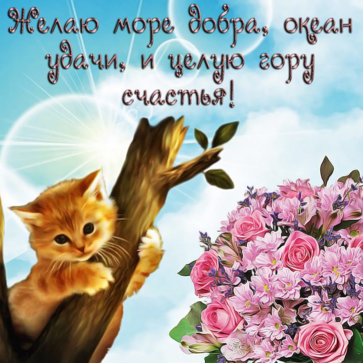 Прикольная картинка с пожеланиями - лучшая