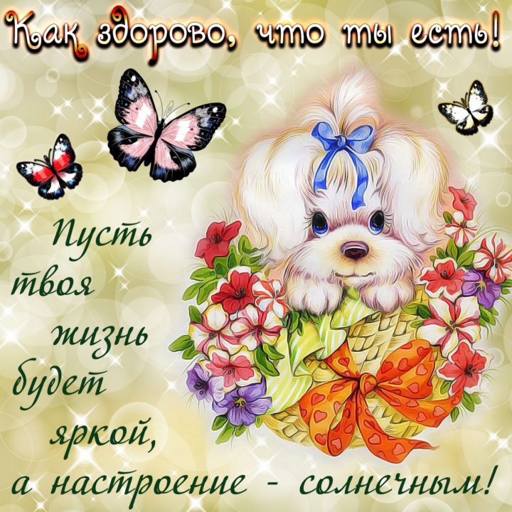 Прикольная картинка с пожеланиями - лучшая
