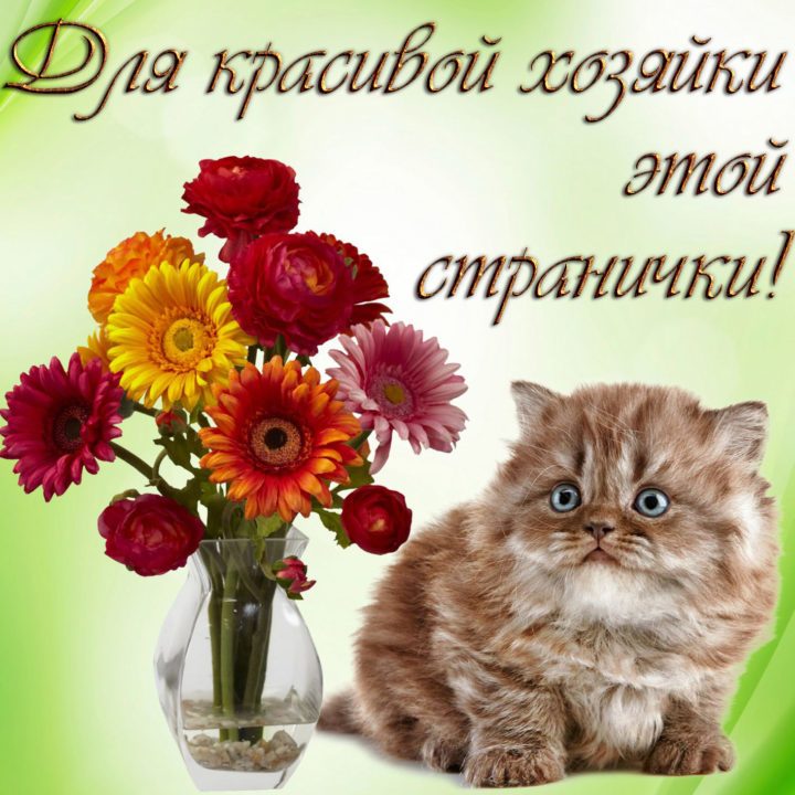 Прикольная картинка с пожеланиями - лучшая