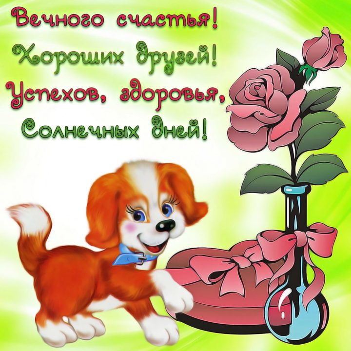 Прикольная картинка с пожеланиями - лучшая