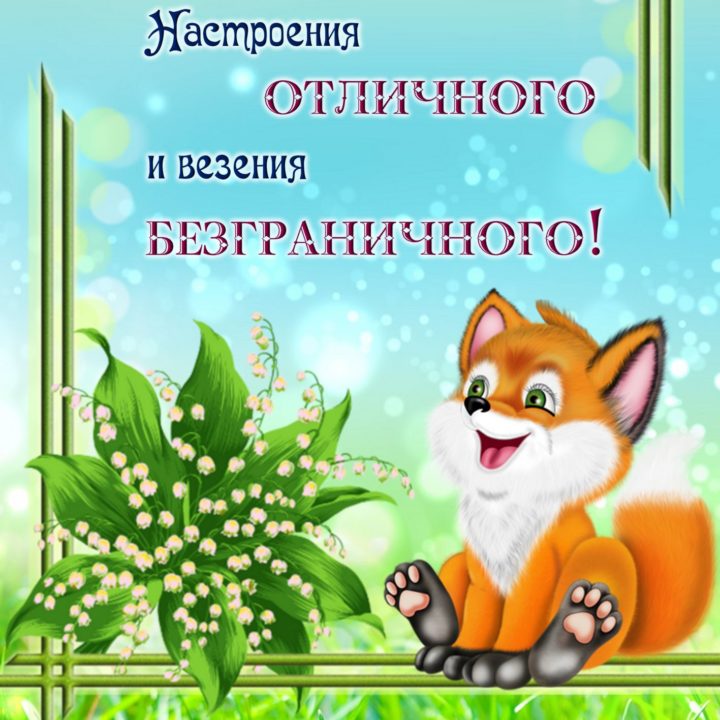 Картинка с пожеланиями мужчине, парню прикольная