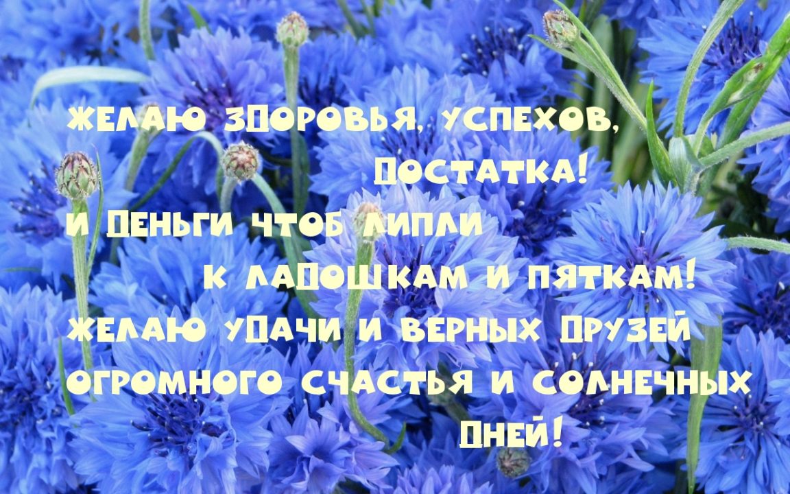 Добрые пожелания - картинки с надписями прикольные