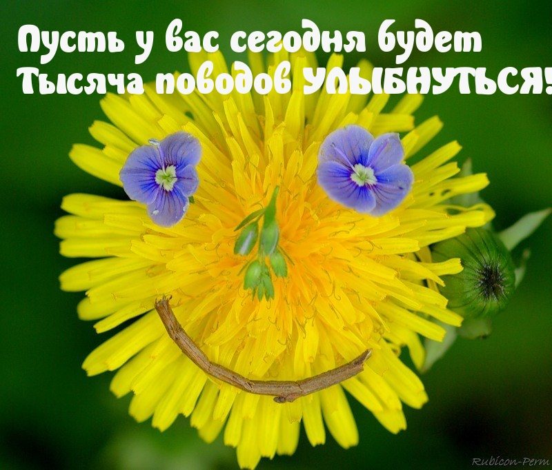 Картинка прикольная смешная с пожеланиями