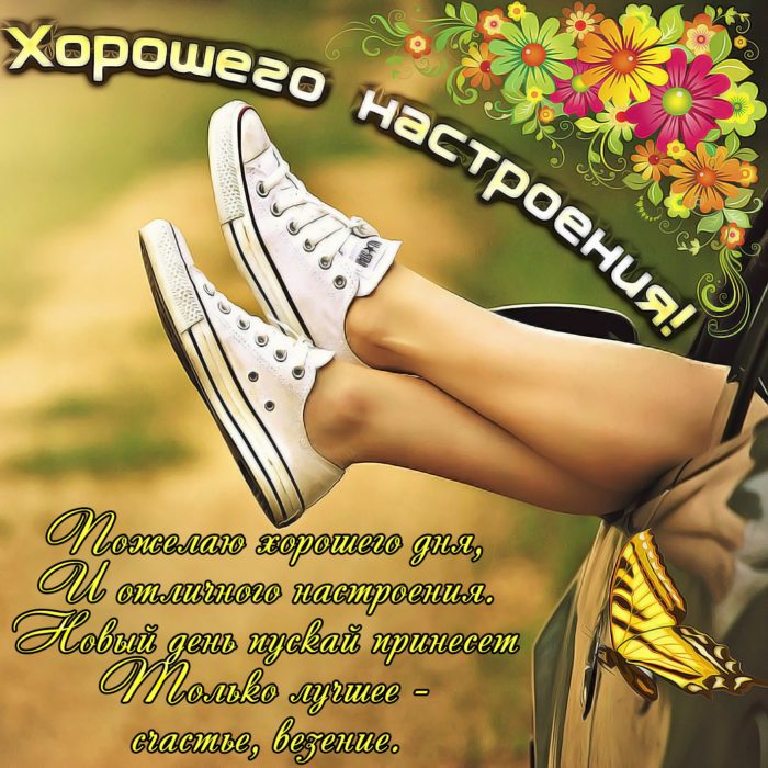 Прикольные картинки с пожеланиями настроения