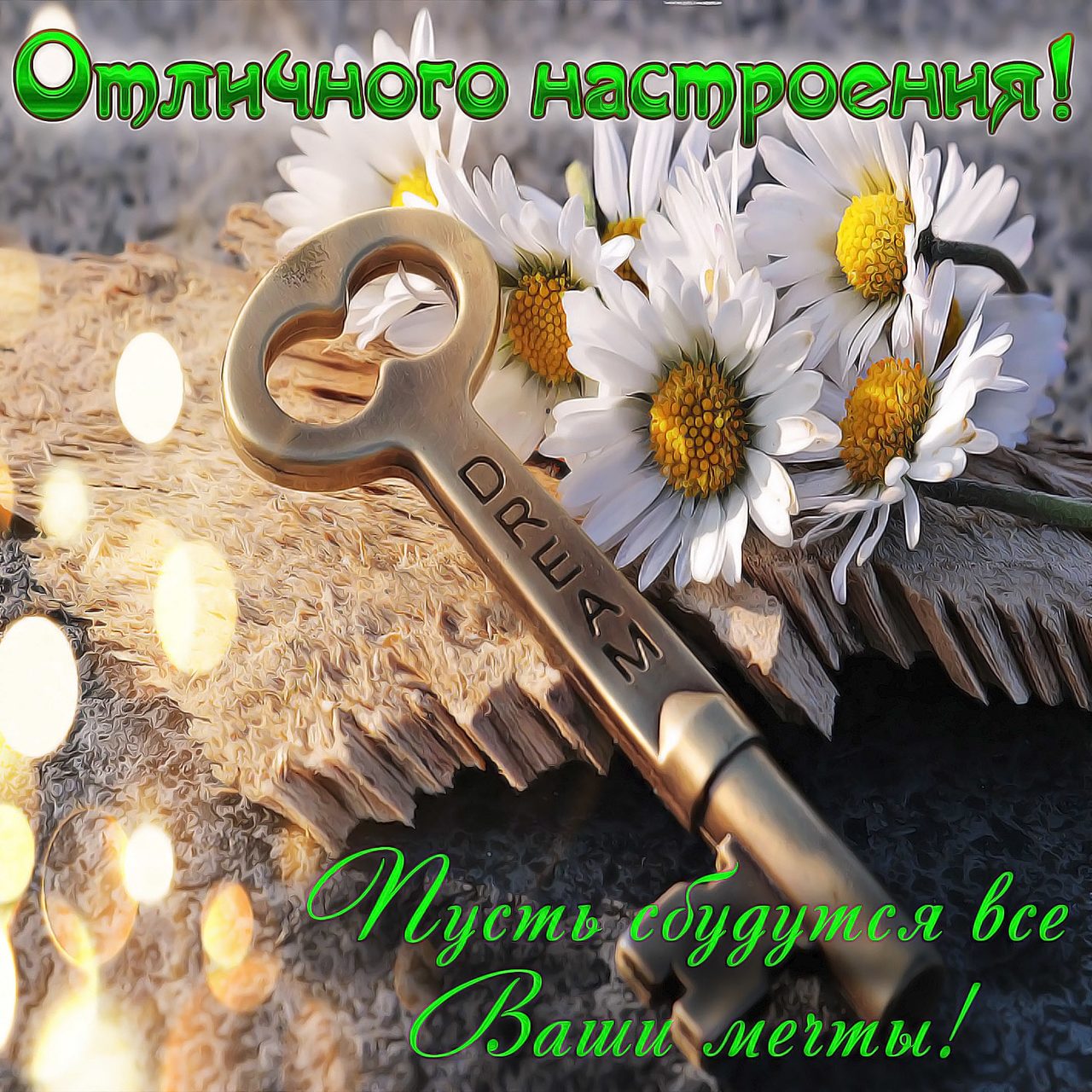 Прикольные картинки с пожеланиями настроения