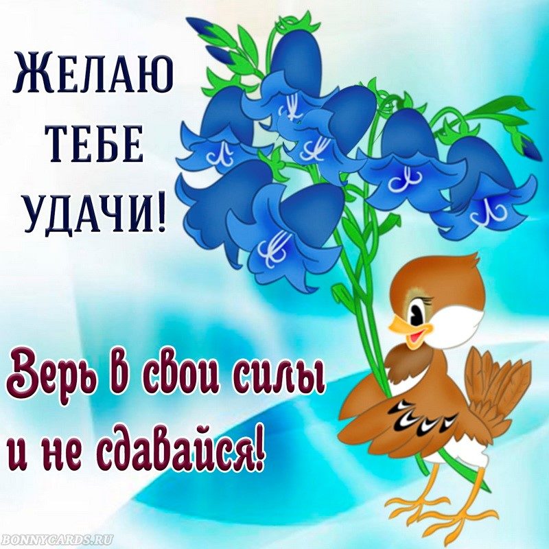 Картинка прикольная смешная с пожеланиями