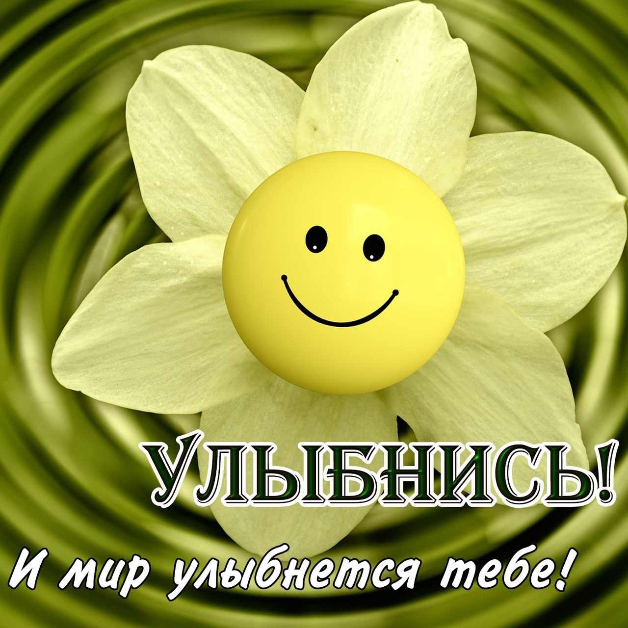 Картинка с добрыми пожеланиями прикольная позитивная