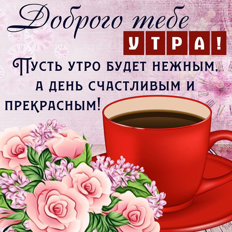 Пожелания с добрым утром прикольные, смешные картинки