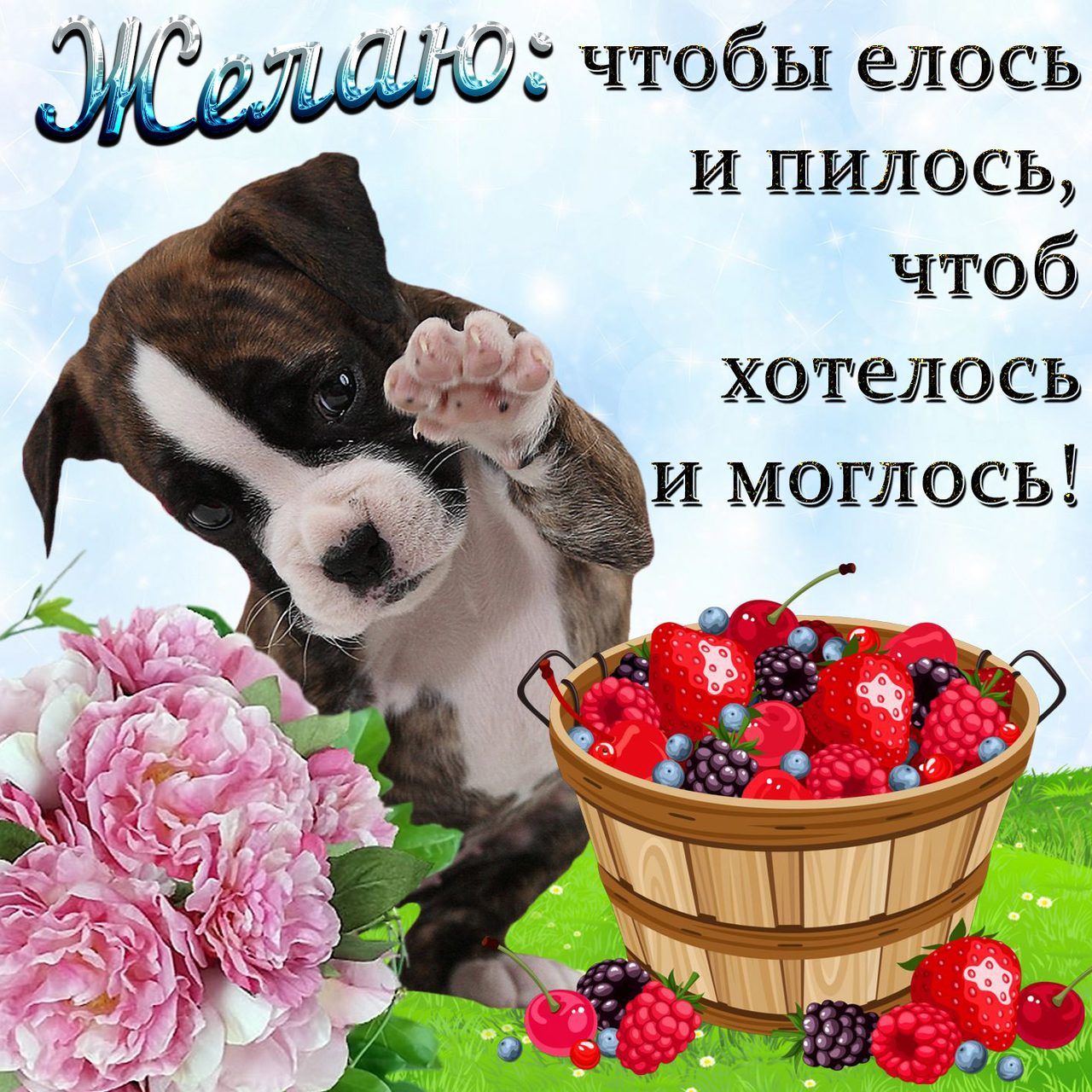 Красивая картинка с прикольными пожеланиями