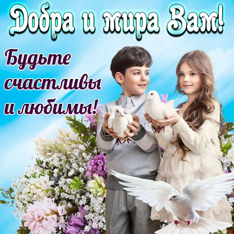 Прикольная картинка с пожеланиями новая
