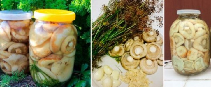 Пересоленные при засолке