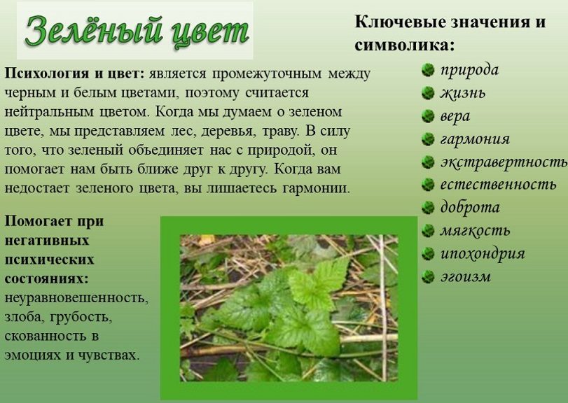 Зеленый цвет в психологии