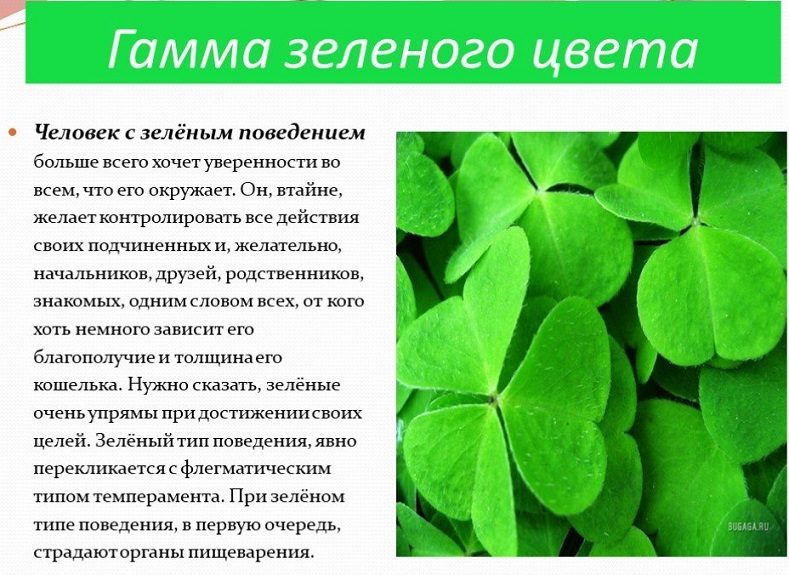 Общая характеристика людей с зеленой гаммой