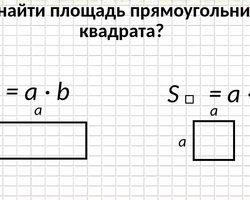 Как найти площадь прямоугольника?