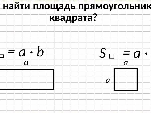 Как найти площадь прямоугольника?