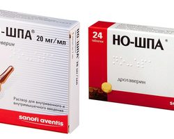 Прием Но-шпы: до или после еды? Чем запивать Но-шпу? Можно ли запивать Но-шпу соком, чаем, газировкой, молоком?