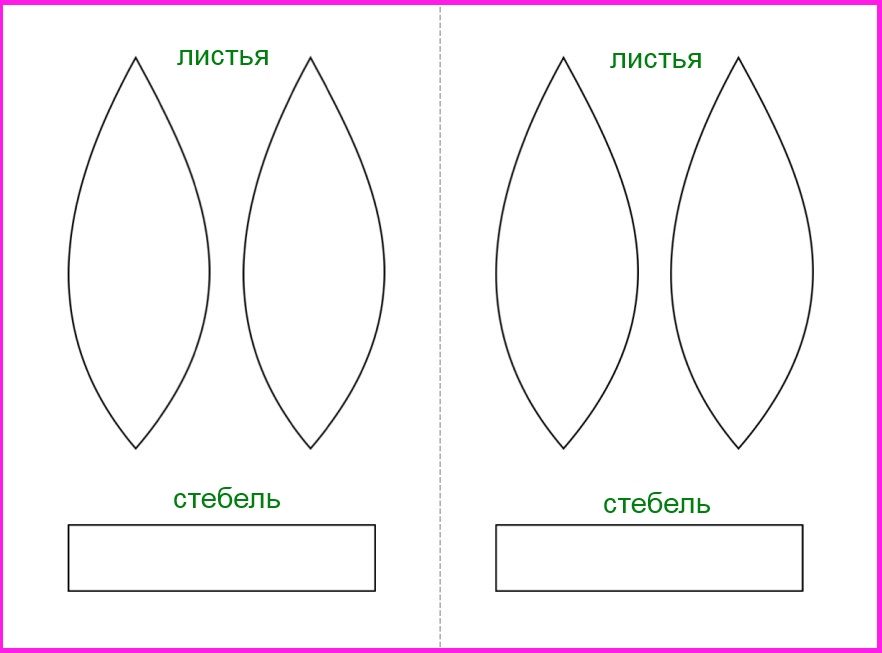 Листики и стебельки цветов