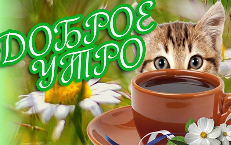«добрый день»