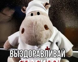 Когда говорят или пишут «выздоравливай»: что ответить в прозе, стихах?