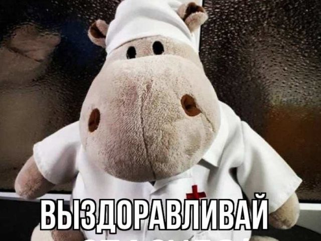 Когда говорят или пишут «выздоравливай»: что ответить в прозе, стихах?