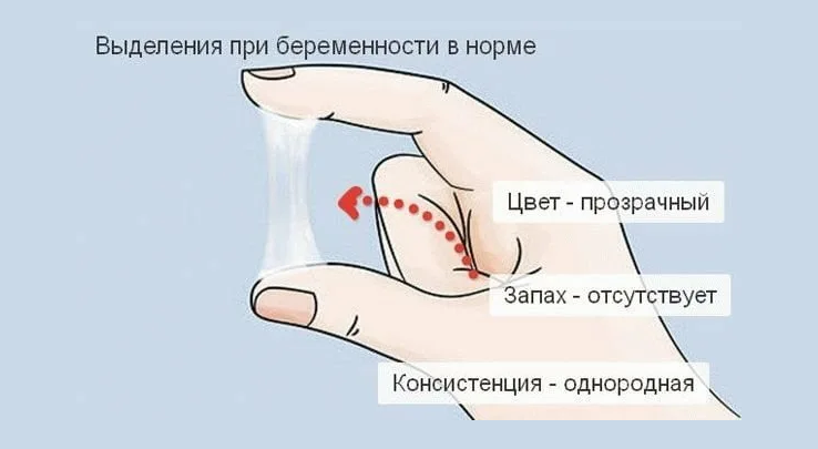 Выделения после произошедшего зачатия