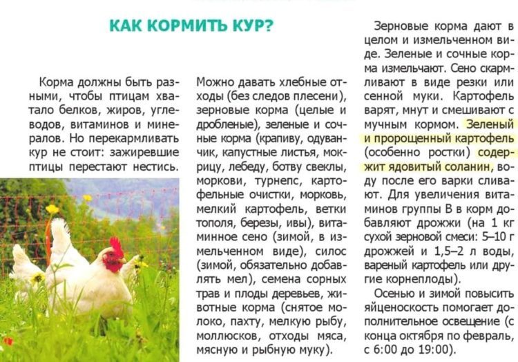 Правильное кормление