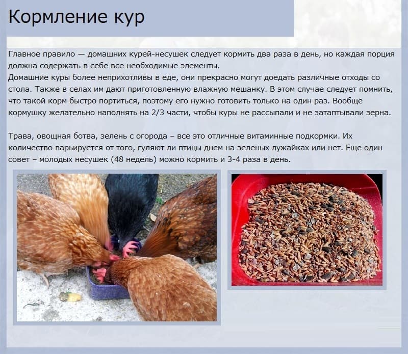 Важна сбалансированность