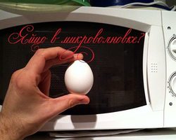 Как сварить яйца в микроволновке: правила, инструкции