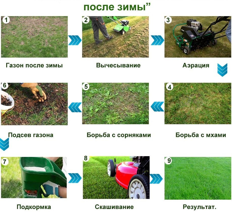Уход за газоном