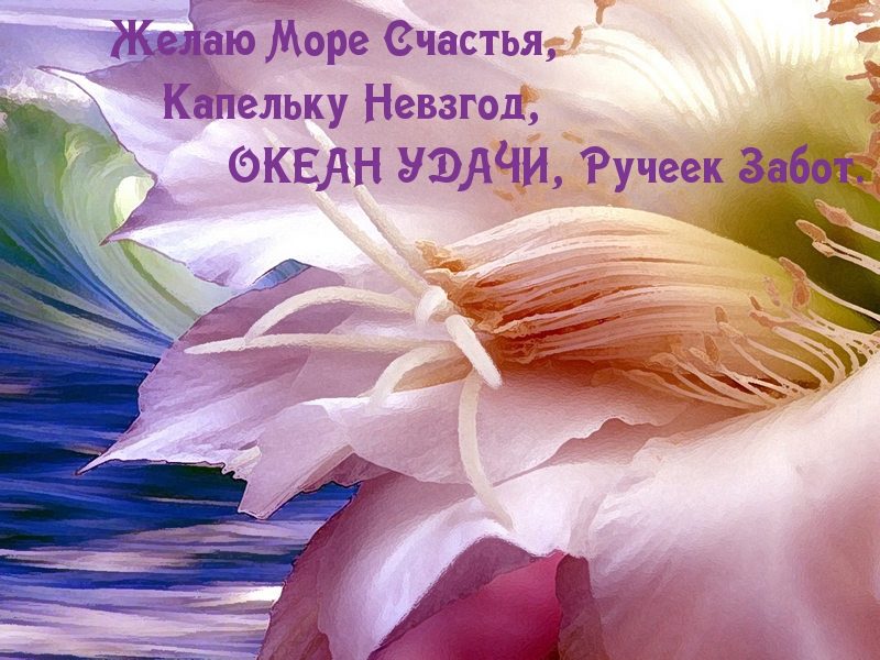 Поздравление женщинам коллегам в стихах