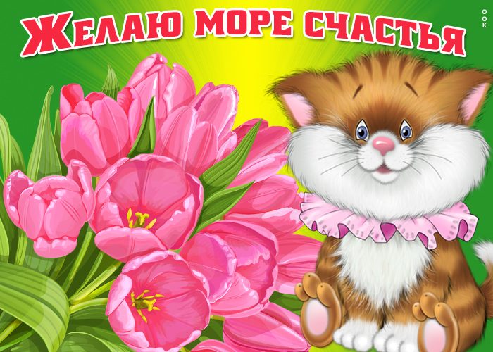 Прикольное поздравление женщине в стихах