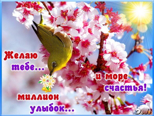 Короткие поздравление женщинам в стихах