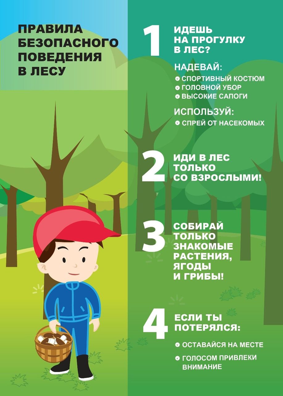 Загадки на предмет обж о безопасности на природе