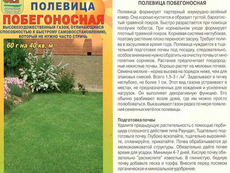 Полевица побегоносная