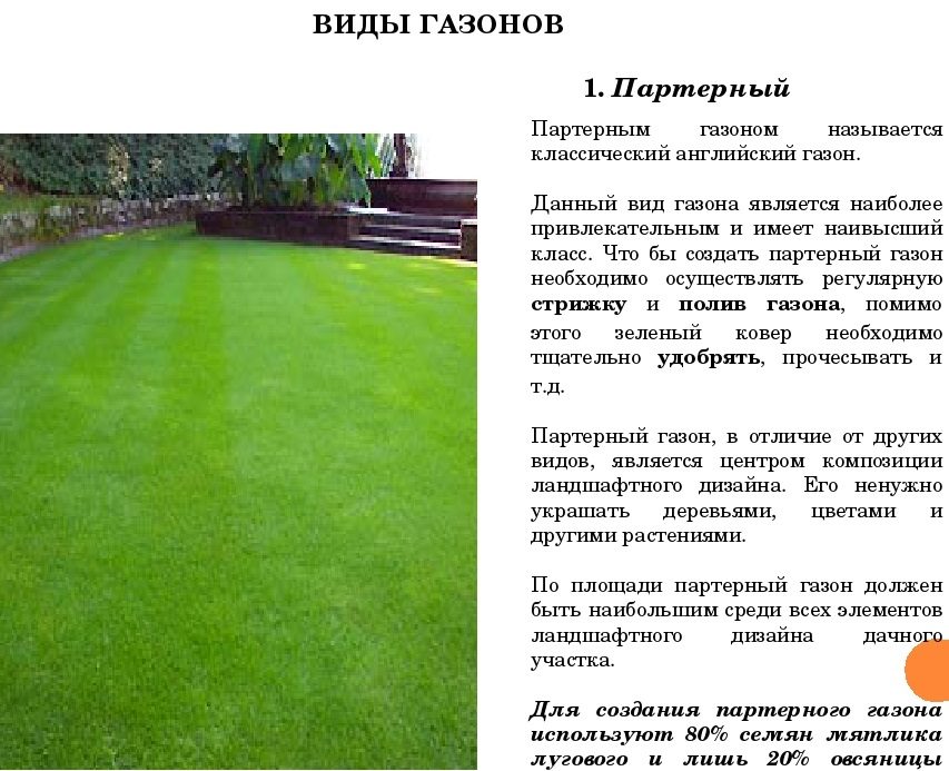 Партерный газон