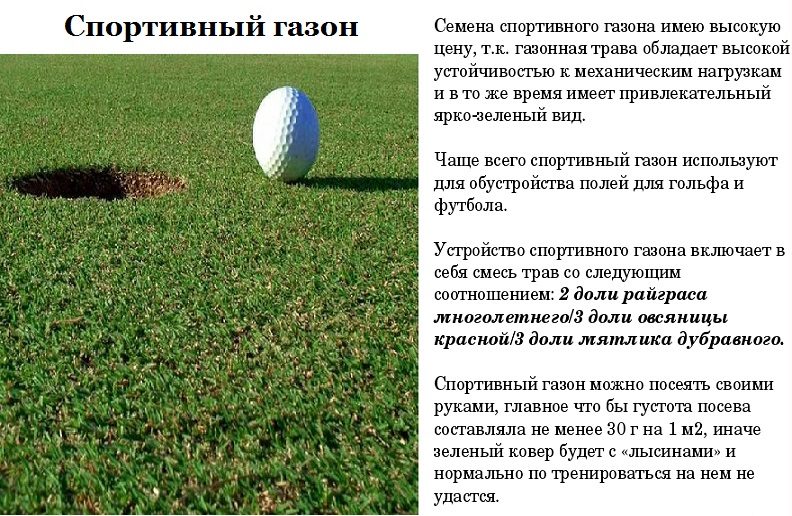 Спортивный газон