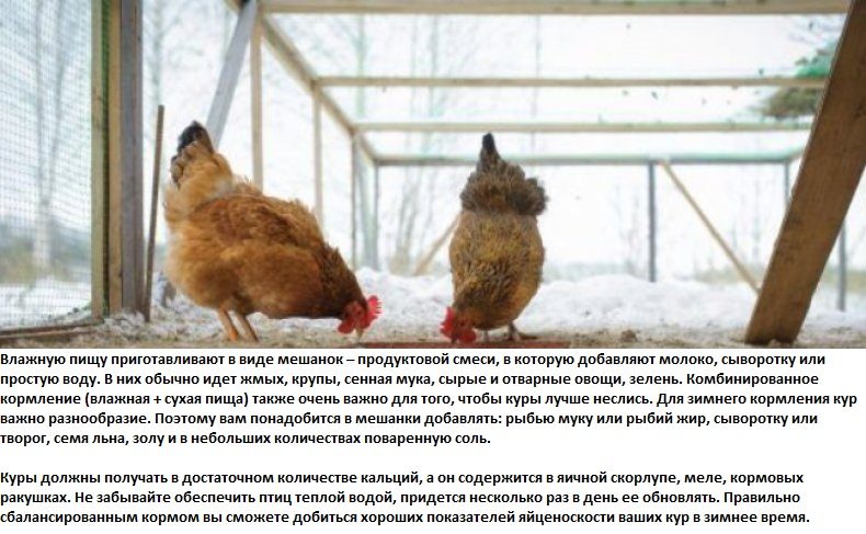 Совет