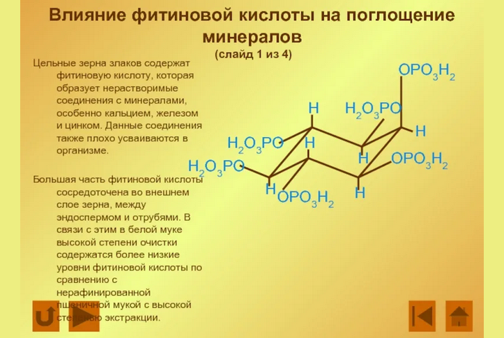 Влияние фитиновой кислоты на железо