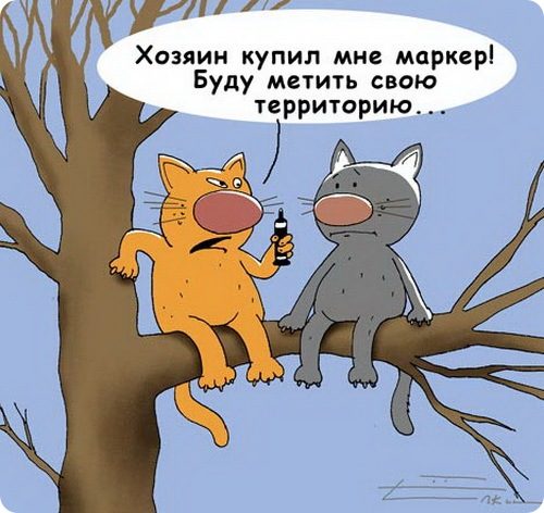 Современные басни с моралью для взрослых