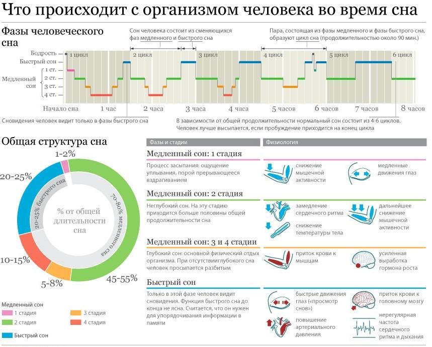 Почему сон так важен