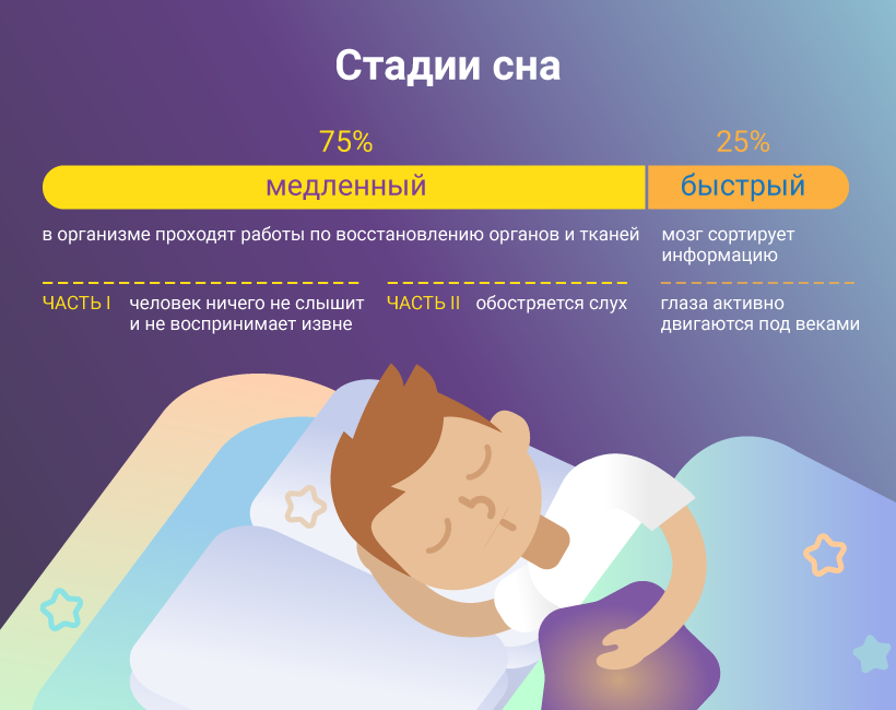 Соотношение сна