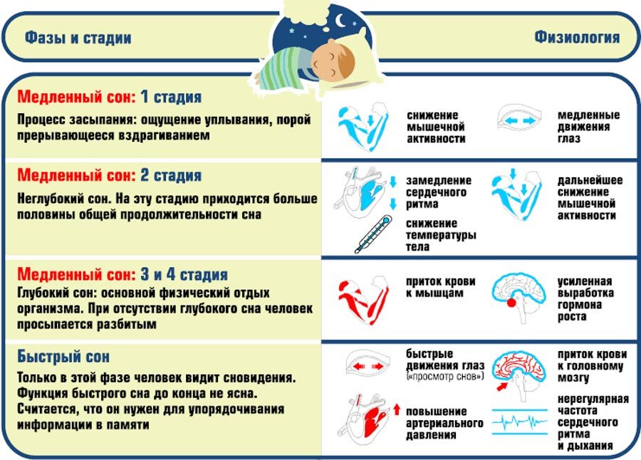 Сон и физиология