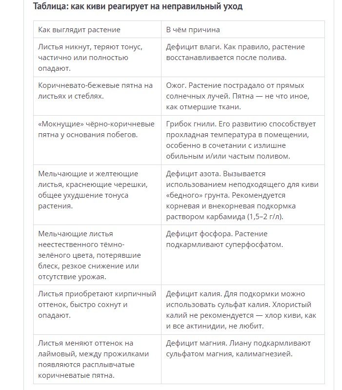 Реакция киви на неправильный уход