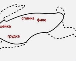 Мясная разделка тушки кролика: схема, пошаговая инструкция, советы