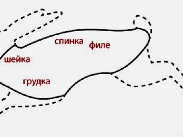 Мясная разделка тушки кролика: схема, пошаговая инструкция, советы