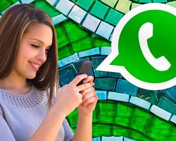 Что значат галочки в Whatsapp? Как оставаться анонимным в Ватсап и читать сообщения, чтобы это никто не видел?