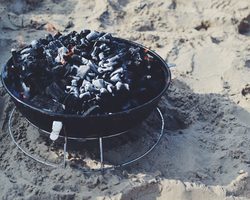 Подкормка золой — как приготовить зольный раствор для подкормки томатов, огурцов, клубники, лука и чеснока?