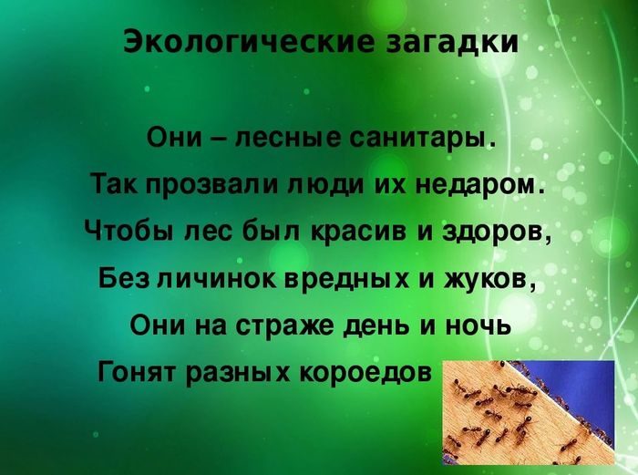 Загадки про экологию - лучшая подборка